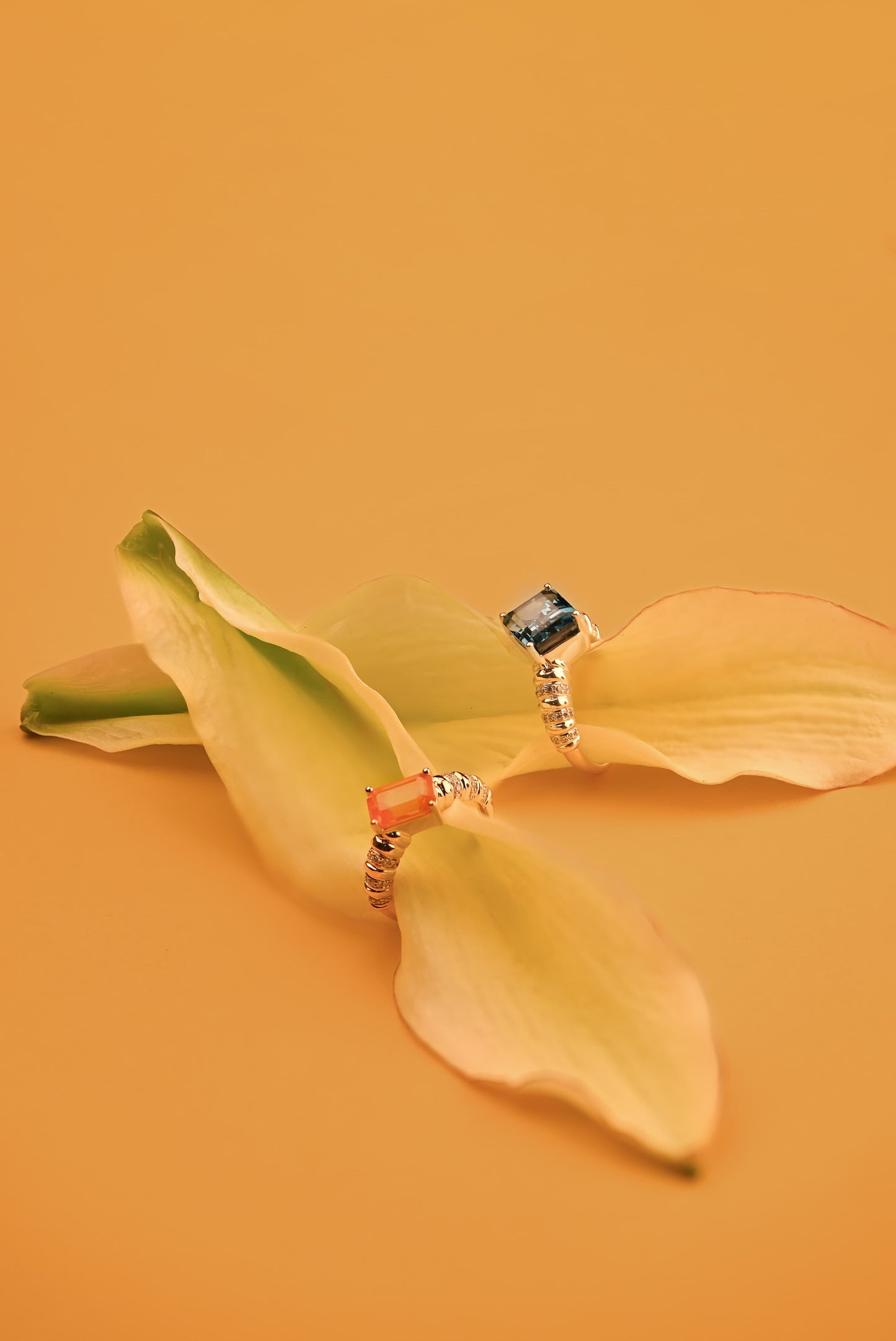 Sunlit Aspiration - Orange