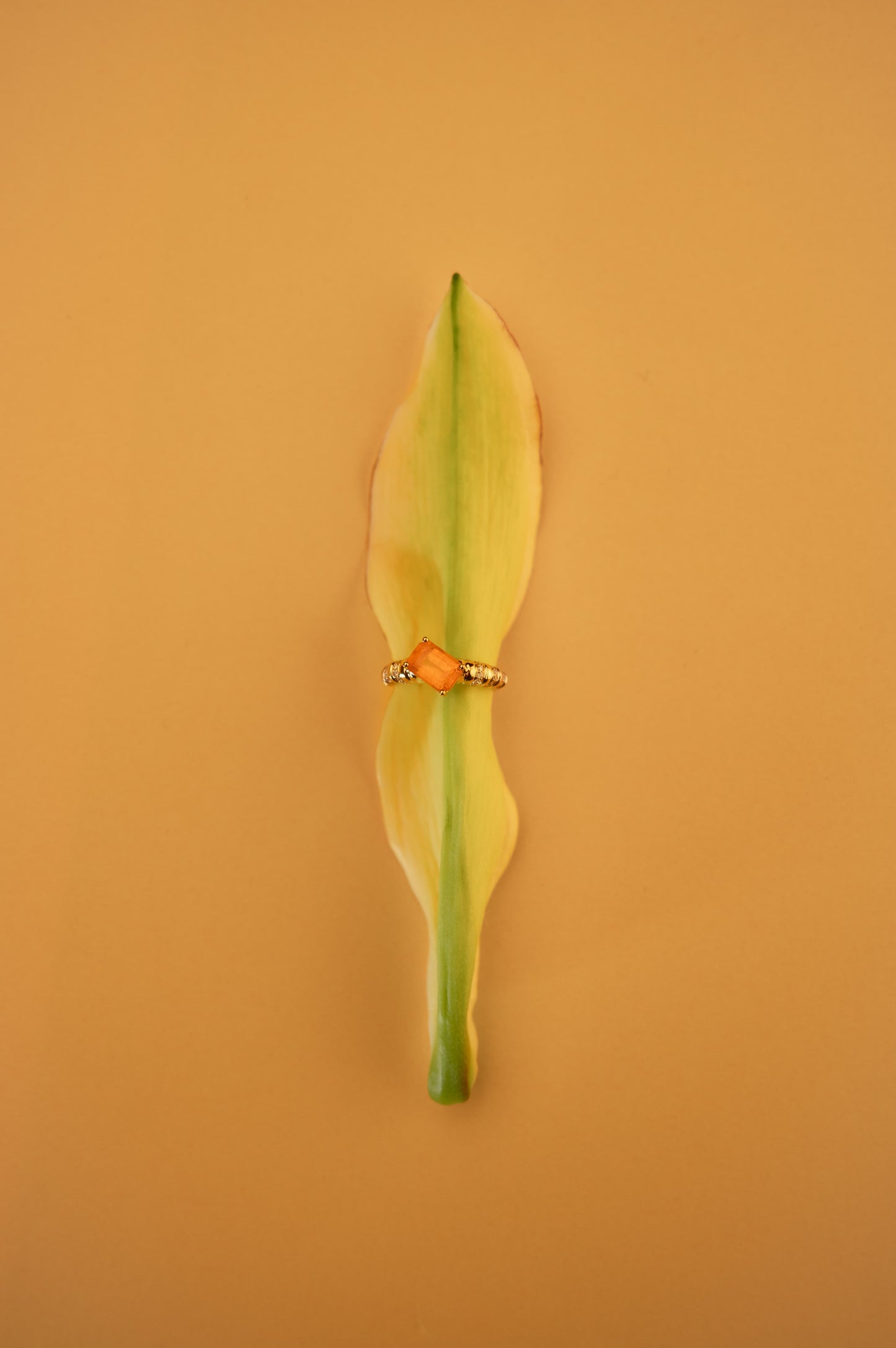 Sunlit Aspiration - Orange
